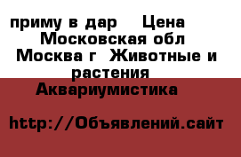 приму в дар  › Цена ­ 50 - Московская обл., Москва г. Животные и растения » Аквариумистика   